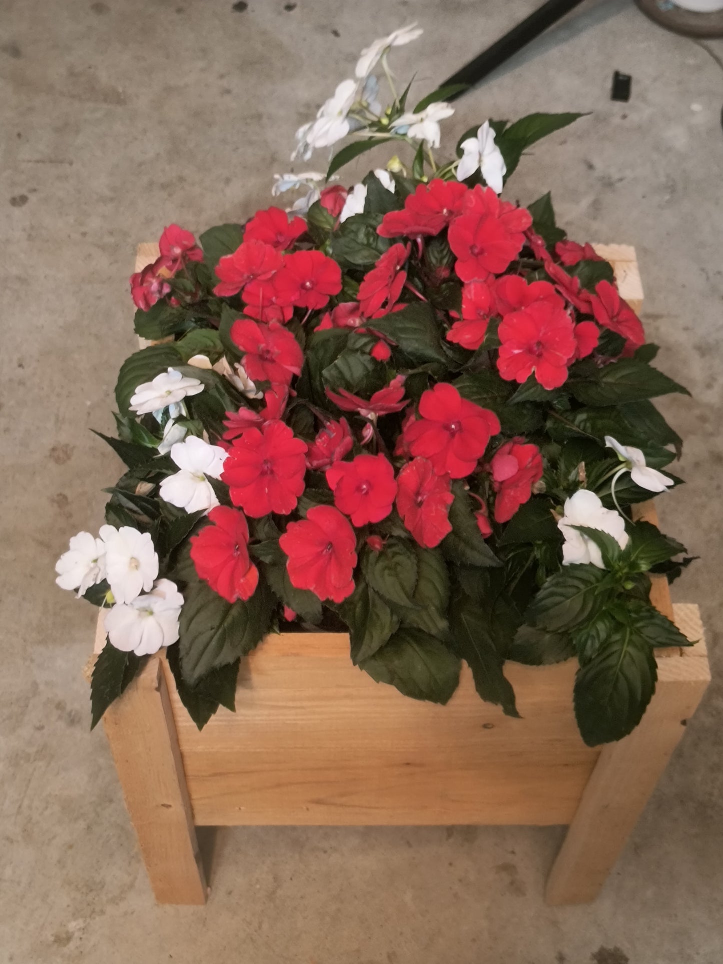 Beautiful Wood flower planter